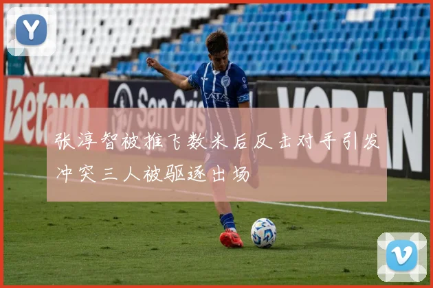 张淳智被推飞数米后反击对手引发冲突三人被驱逐出场