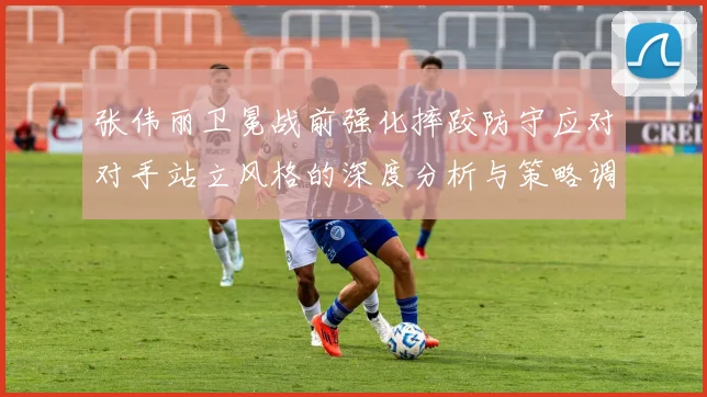 张伟丽卫冕战前强化摔跤防守应对对手站立风格的深度分析与策略调整