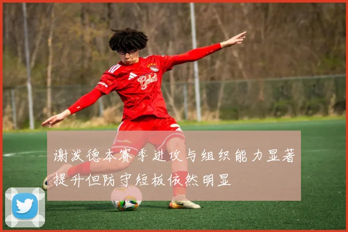 谢泼德本赛季进攻与组织能力显著提升但防守短板依然明显