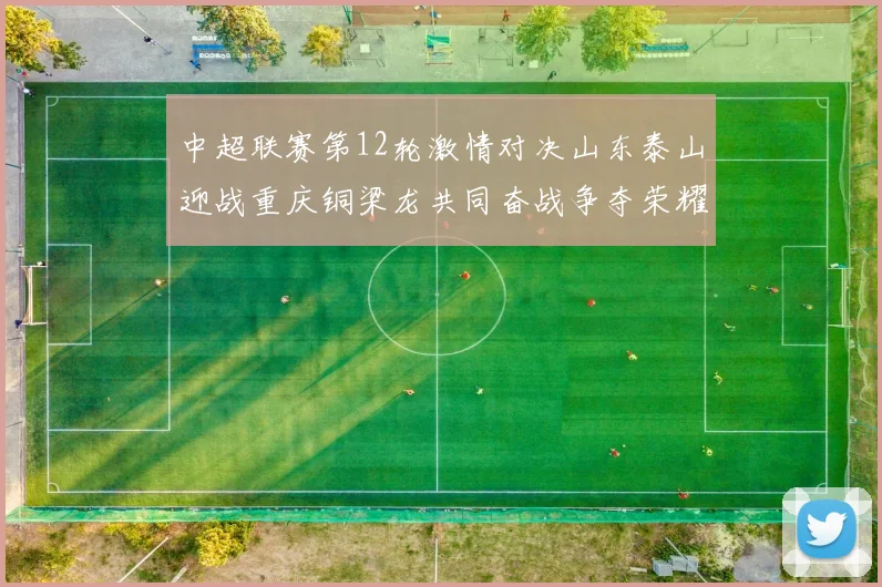 中超联赛第12轮激情对决山东泰山迎战重庆铜梁龙共同奋战争夺荣耀