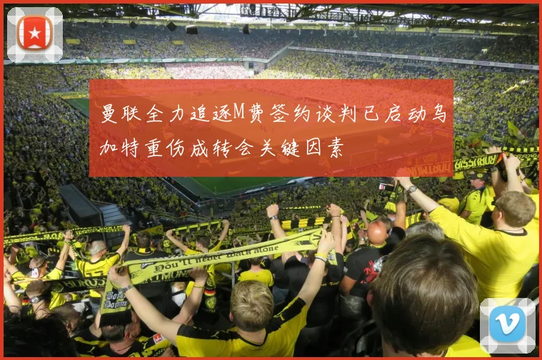 曼联全力追逐M费签约谈判已启动乌加特重伤成转会关键因素